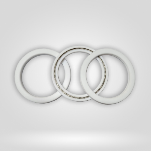 cft seals with springs cft seals with springs